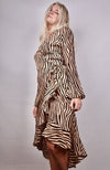 Mia's Zebra Dress