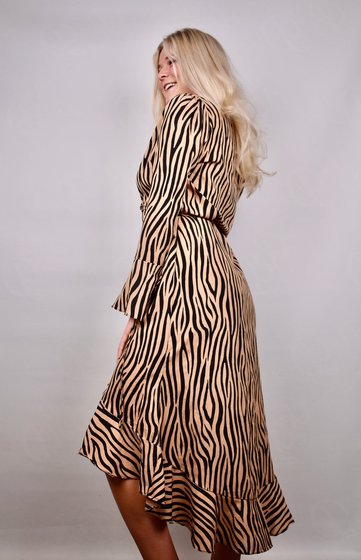 Mia's Zebra Dress
