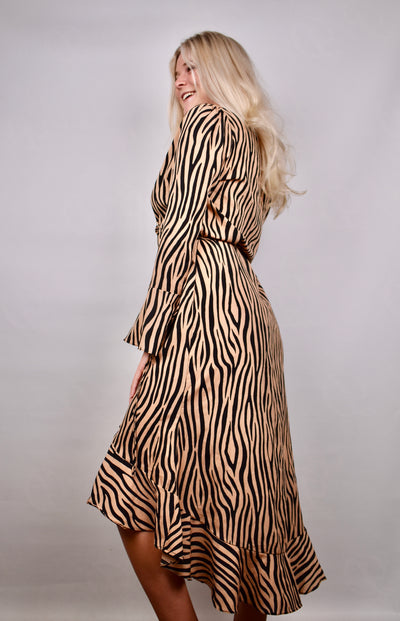 Mia's Zebra Dress