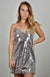 Sydney's Silver Sequined Dress
