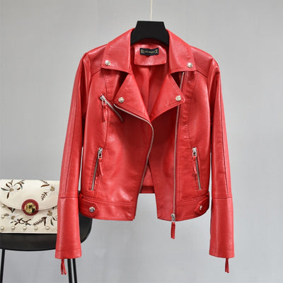 Alice's Leather Jacket